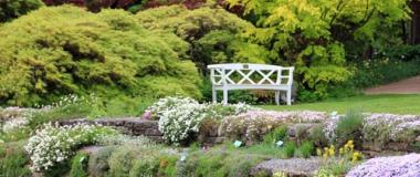 Údržba zelene a živých plotov Údržba zelene a živých plotov